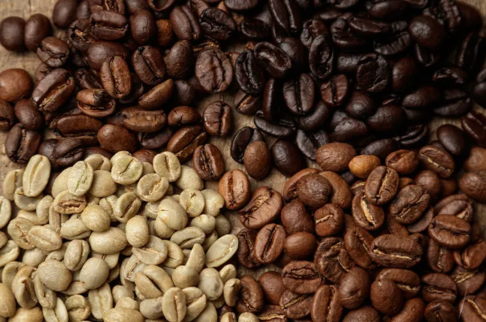 Jenis Biji Kopi Pilihan Paling Populer Favorit Anak Muda